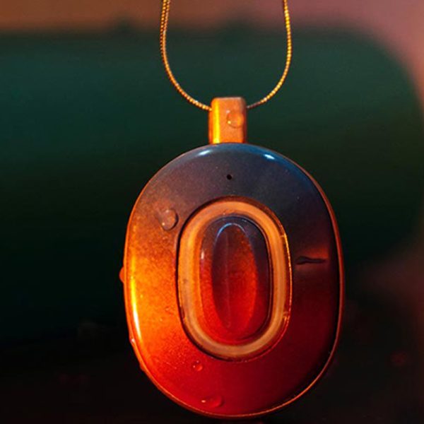AI Talk MetaBox Necklace for All Sex Dolls