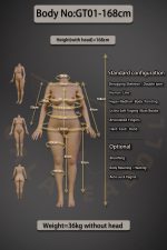 Galatea | Juno-168cm(5ft6) ROS Full Silicone Medium Breast Big Boob Sex Doll - Afbeelding 7